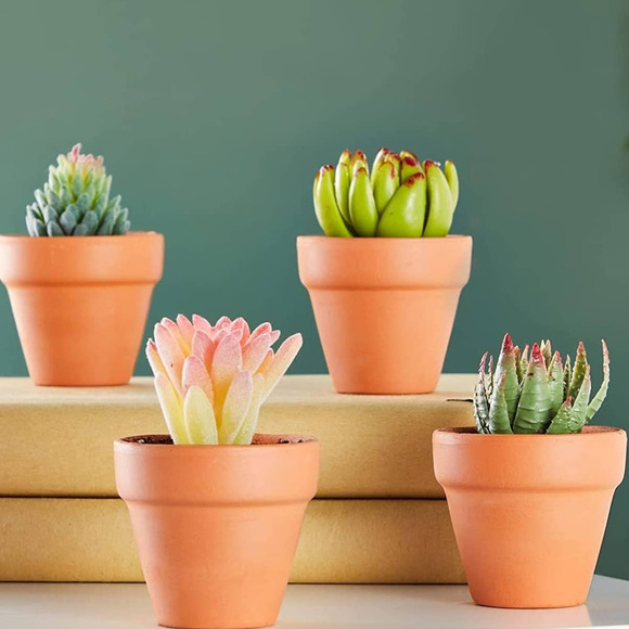 6-PK Mini Terracotta Pots for Succulents, Small 3.2" Clay Flower Pot Planters - Picture 2 of 5
